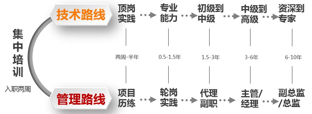 成长路径.jpg