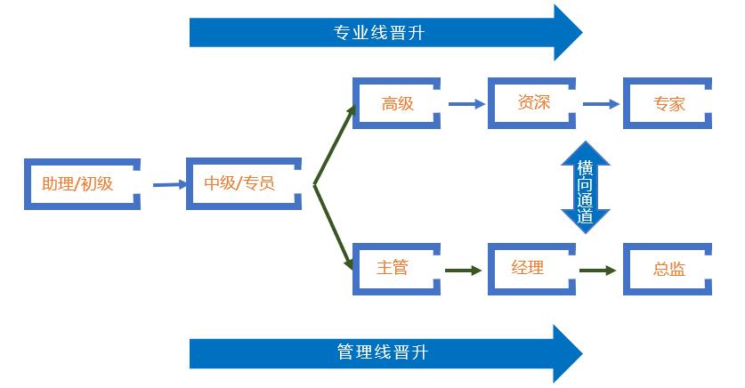 发展通道.jpg