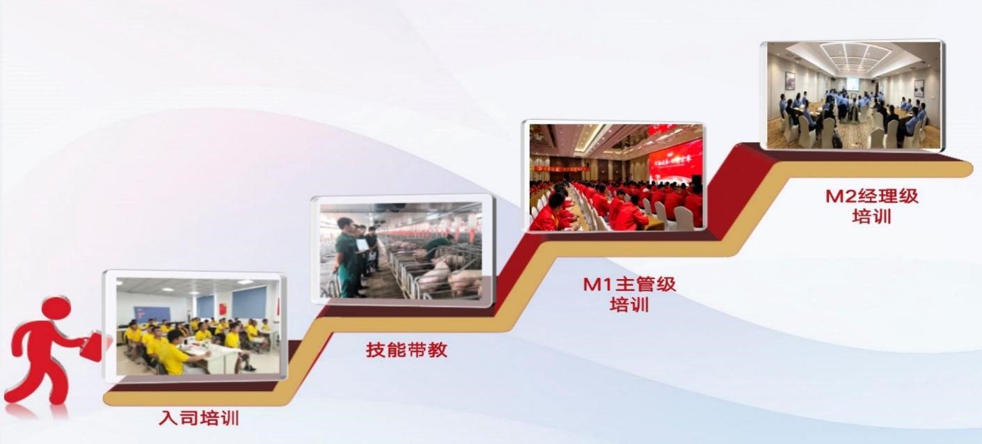 完善的员工培训体系.jpg