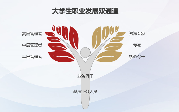 晋升通道.png