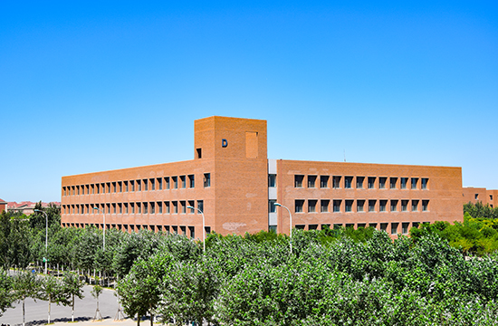 天津中德应用技术大学