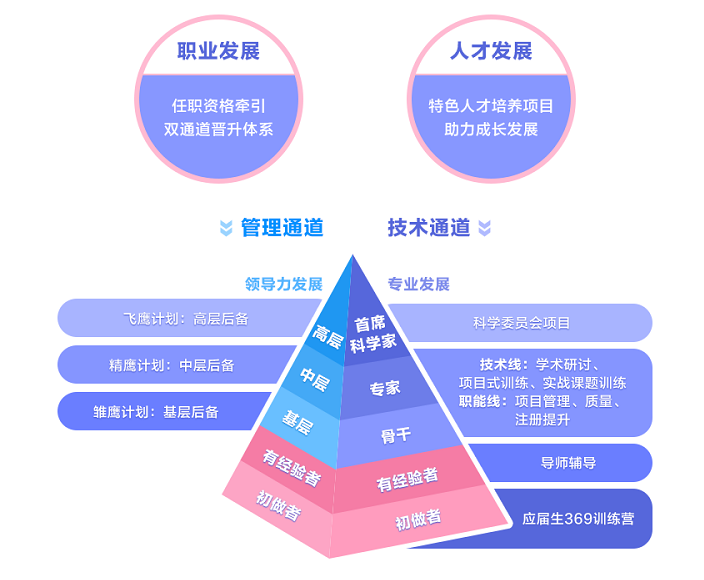 职业发展.png