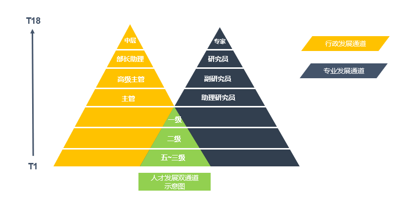 人才发展双通道.png