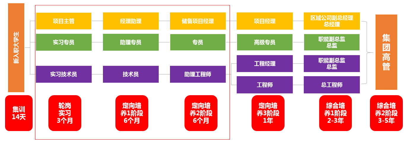 特招生特优生培养路径.png