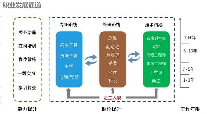 职业发展.png