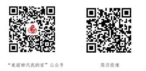 东风柳汽.png