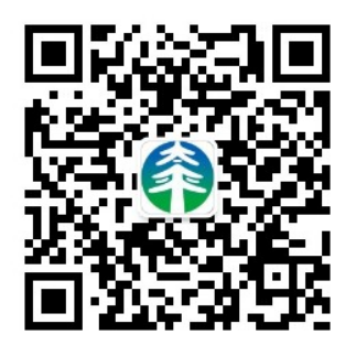 1740826619503091270.png image.png