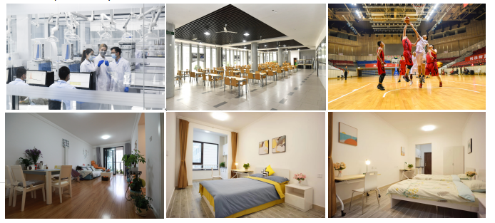 1759979178441076862.png image.png