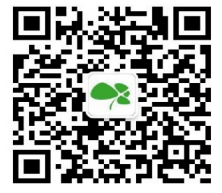 1762180805672092515.png image.png