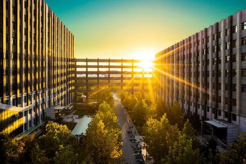 1584418813311690.jpg 配图.jpg